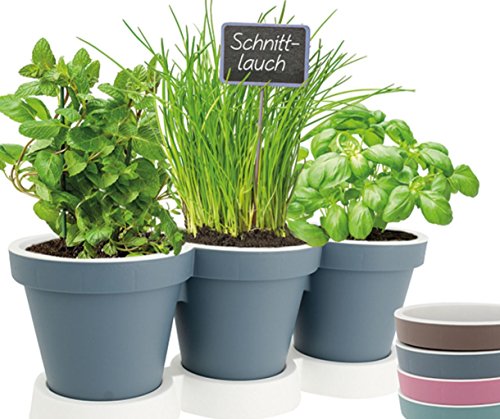 Preisvergleich Produktbild EuroDiscount Kräutertopf für 3 Pflanzen Blumentopf Pflanztopf Blumenkasten 1 Stück Farbauswahl, Farbe:Taupe