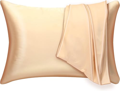 Mulberry Silk Pillowcase 2 Pack for Hair and Skin,with Hidden Zipper.Both Sides 19 Momme Allergen Proof Soft Breathable Smooth Silk Pillow Cover
