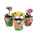 Garden Pot Craft Kit 12 Kits