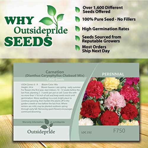 Outsidepride Dianthus C Aryophyllus Carnation Chabaud Garden Cut Flower Seed Mix - 1000 Seeds #TOP3