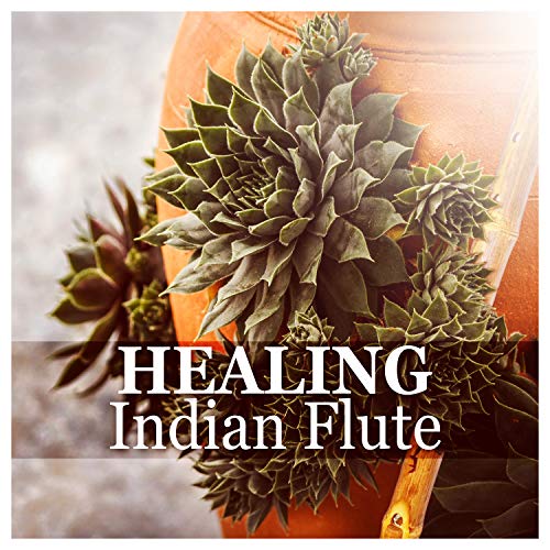 Amazon Music Relaxing Flute Music ZoneのHealing Indian Flute Nature