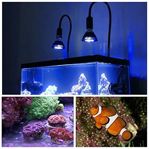 Kingbo KB-AL18-01 Led Aquarium Plant Light Bulb, 18W Refugium Light Aquarium Plant Lights Fish Tank Bulb With 6 Band Full Spectrum For Coral Reef Saltwater Tank Plants Growth thumb #1