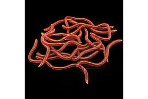 OriGlam 20pcs Worms for Bass Fishing