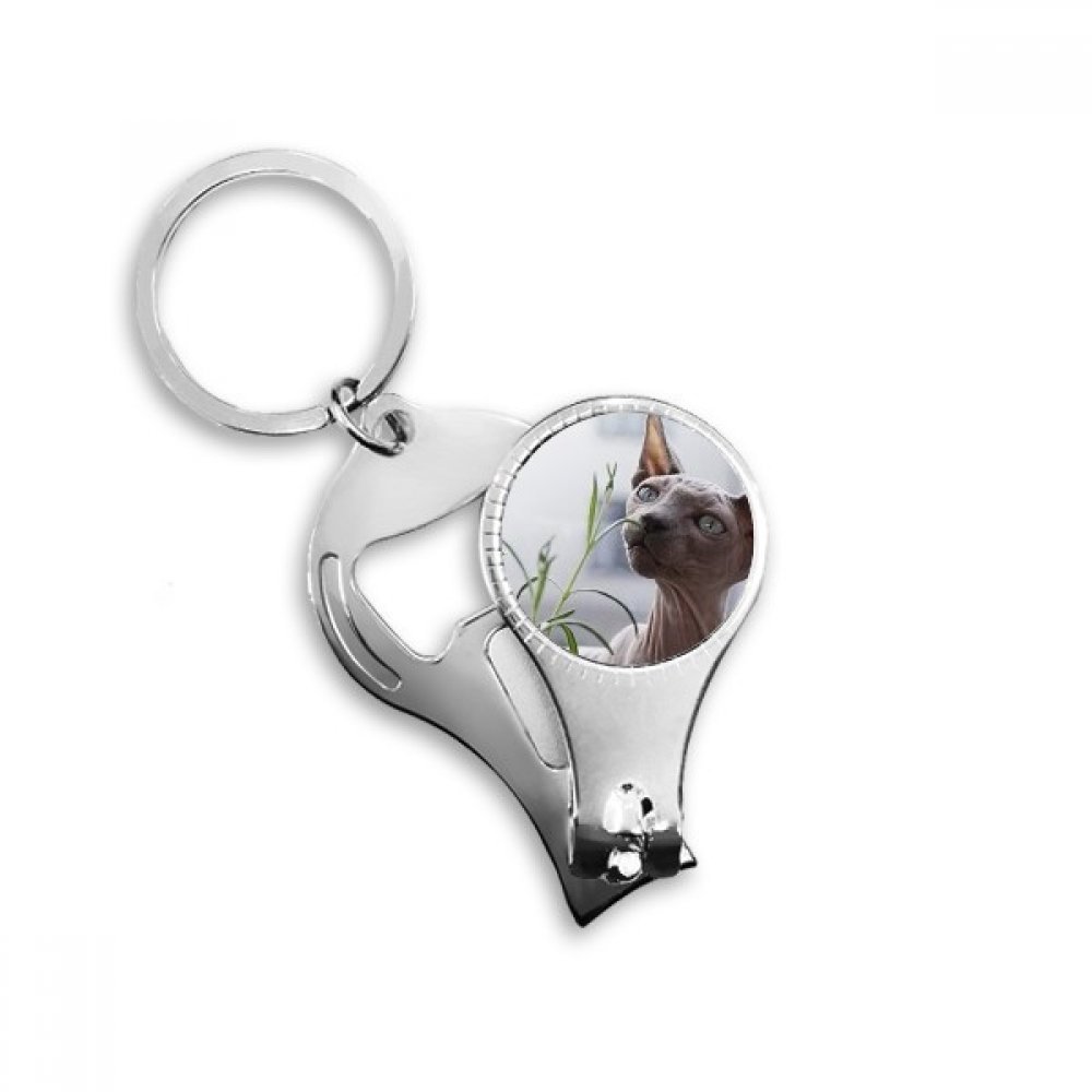 Chat photographe cadeau original anneau porte-clés ouvre-bouteille