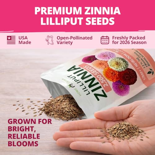 Image of HOME GROWN Zinnia Lilliput Mix Flower Seeds for Planting Spring 2026 - 2500 Seeds (2g) Zinnia elegans - Colorful Zinnia Seed Mix for Garden Beds, Containers & Cut Flowers, Easy Grow Zinnia Seeds