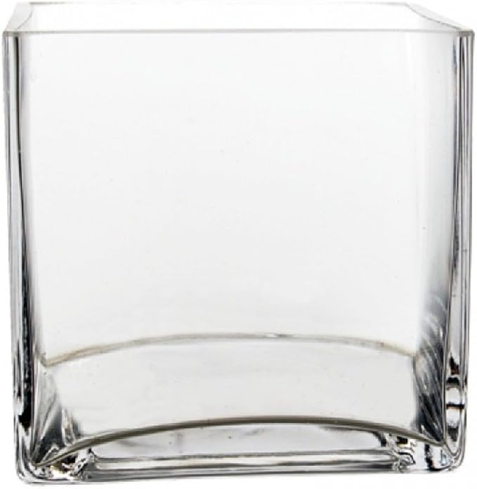 CYS EXCEL 6" Square Glass Vase 6 Inch Clear Cube