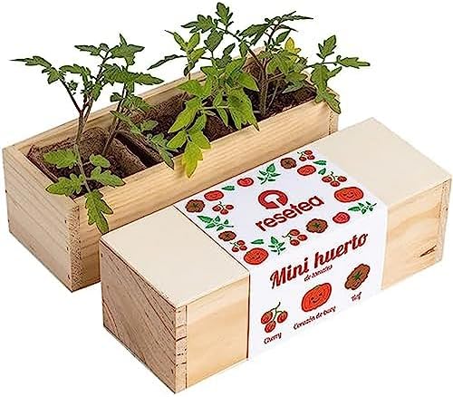 Mini Huerto de Tomates - Cherry, Corazón de Buey y Raf | Huerto U...