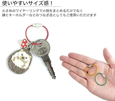 Amazon.co.jp: prendre ワイヤーキーリング キーチェーン キーホルダー Amazon.co.jp: prendre ワイヤーキーリング キーチェーン キーホルダー