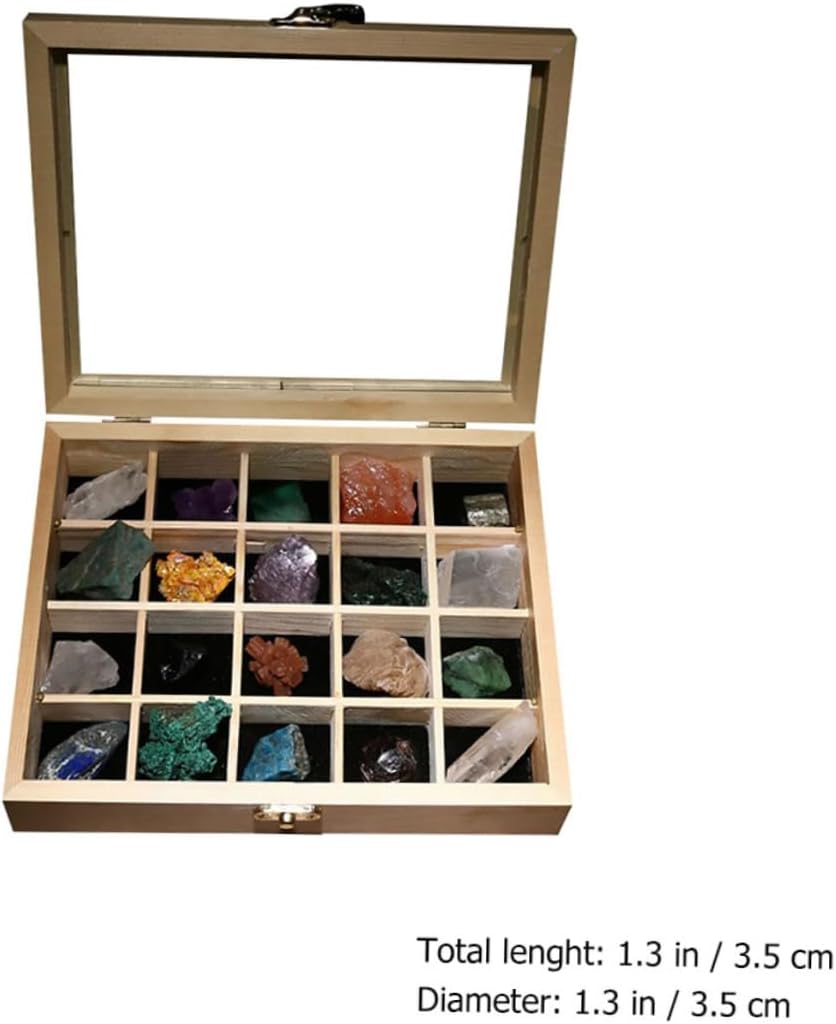 GARVALON 20pcs Natural Mineral Stone Specimens Collection Box for Educational Use Irregular Beautiful Ores for Science Teaching and Home Decoration
