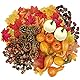 HBell 176-teiliges Thanksgiving-Dekorationsset,künstliche Kürbisse,Halloween-Mini-Kürbisse,Tannenzapfen,Ahornblätter,Eicheln,Herbstdekorationsset,für Herbst,Zuhause,Tischdekoration