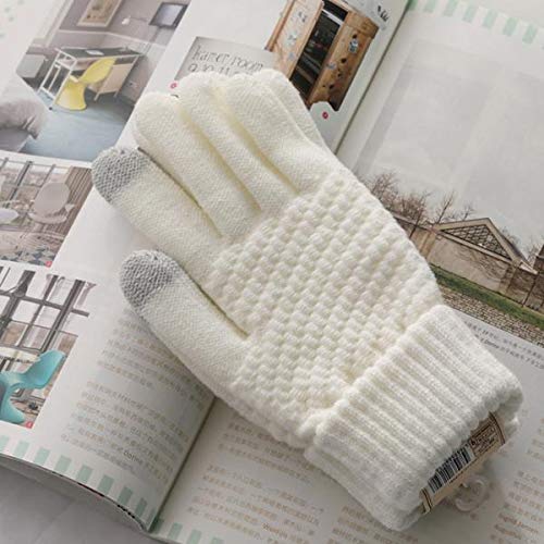 DYNWAVE Luvas de Inverno Masculino Feminino com Tela de Toque - Branco