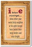 I Before E Except... - NEW Humorous Poster
