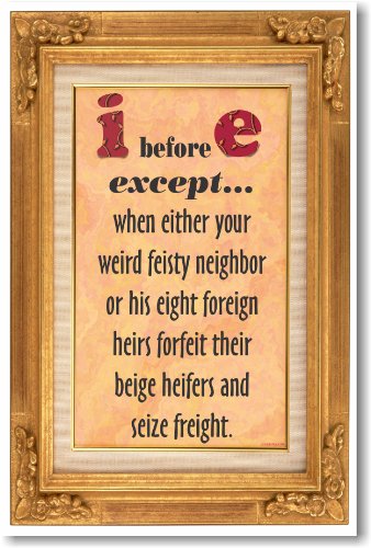 I Before E Except... - NEW Humorous Poster