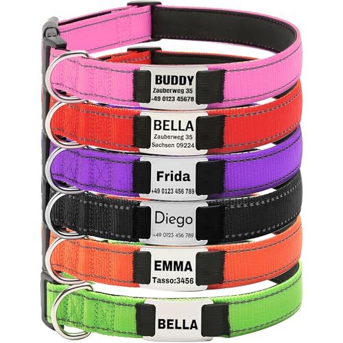 Hundehalsband, Reflektierend Halsband aus Nylon mit Weichem Neopren Polsterung einstellbar Hundehalsbänder Personalisiertes Hundehalsbänder (Halsband mit ID Tag)