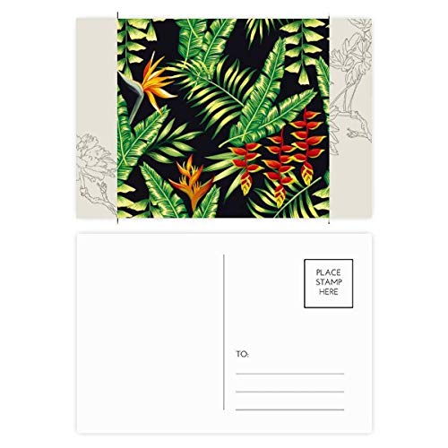 Carte postale fleur et feuille tropicale DIYthinker, lot de 20 dessin flore art pour message