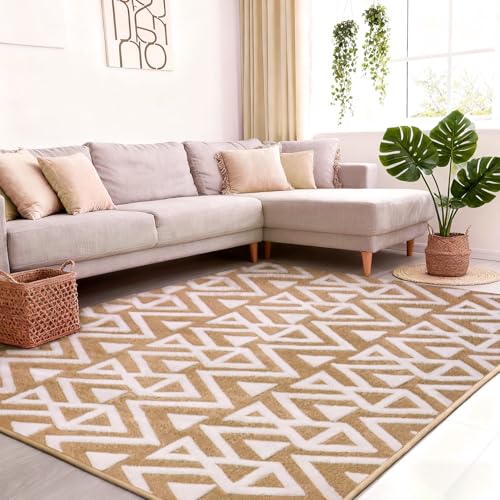 Ompaa Ultra Soft Shaggy Rugs 4x6 Beige