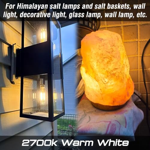 Image of E12 Candelabra Light Bulbs 40W, T25 Edison LED Bulbs Warm White 2700K, 2Pcs | E12 Vintage Filament Light Bulbs for Himalayan Salt Lamps & Baskets, Chandelier, Ceiling Fan|T6 LED Bulb Clear Glass|4W 450LM