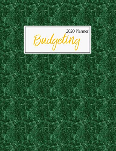 2020 Budgeting Planner: Undated Daily Weekly Expense Tracker Monthly Bill Organizer Money Journal Personal Finance Workbook Business Budget Planning ... Notebook For Christmas Gift New Year Present image 3