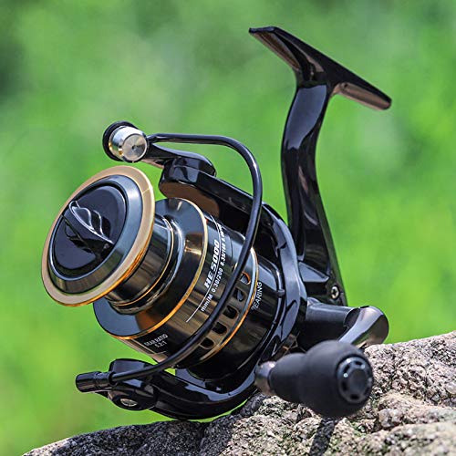 Moulinet Traine Penn Squall lever drag 40lb - Moulinets tambour Tournant pêche en mer | Pacific