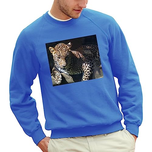 Sweatshirt Homme Léopard Branche Finition Premium