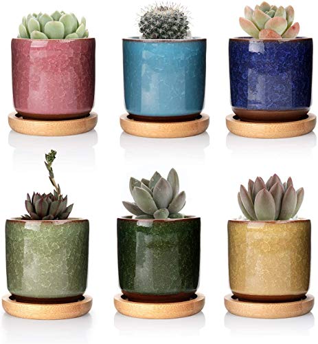 kaktus leder meterware Cactus leather black