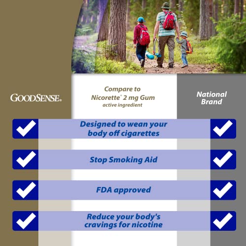 Image of GoodSense Nicotine Polacrilex Uncoated Gum 2 mg, Original Flavor, 110 Count