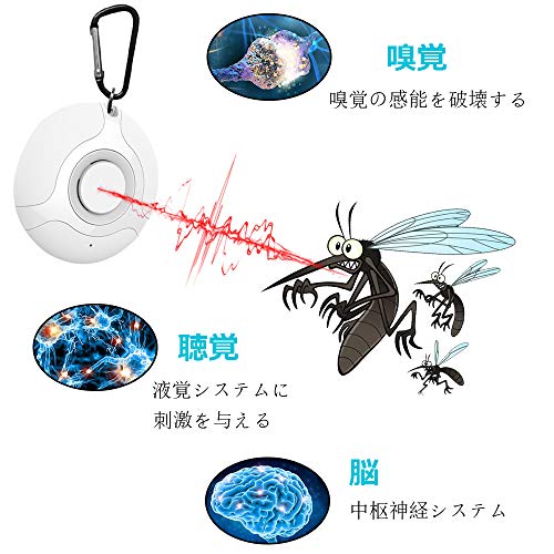 えっ クルマにネズミが棲んでるの エンジンルームのネズミ対策