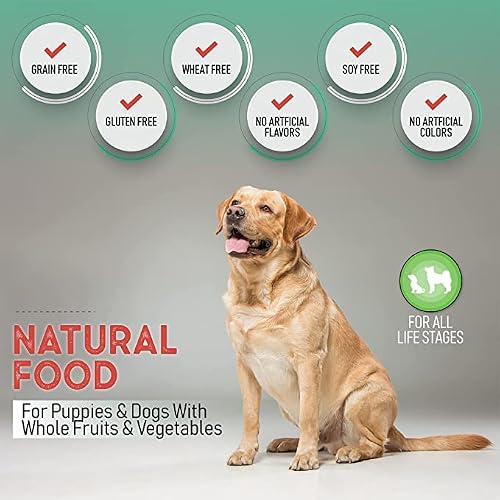 Health Extension Dry Dog Food, Natural Food With Added Vitamins & Minerals, Suitable For All Puppies, Include Buffalo & Whitefish Recipe With Whole Vegetable & Berries (4 Pound) #TOP3