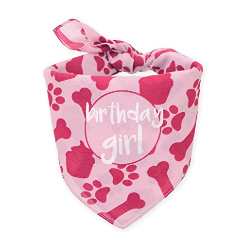 Dog Birthday Bandana Girl Birthday Pets