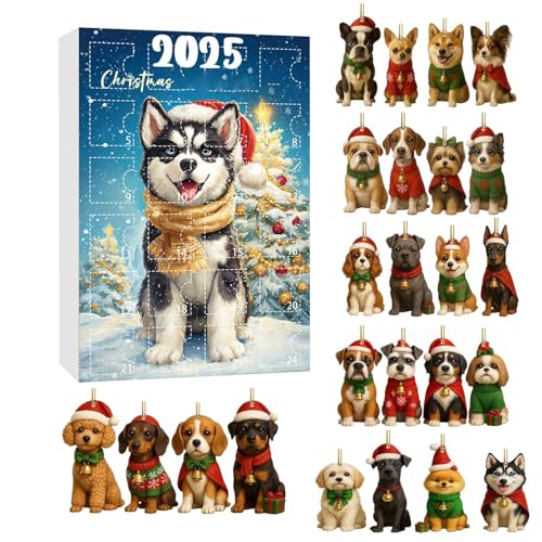 NX}X I[ig JEg_E J_[ - 24 Ԃ̃ANe[}̃fR[VAjzf[ nMO I[igA~̃JEg_E RNV fBXvCA炵ybgDƋLOiMtgZbg |