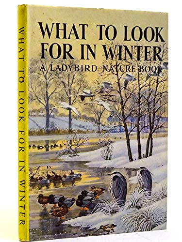 What to Look for in Winter B005E73VCS Book Cover