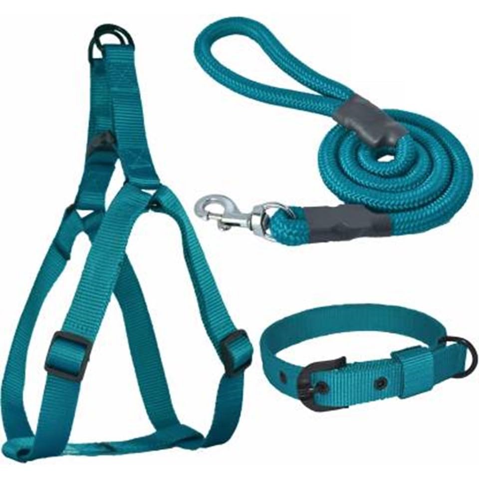 PETSWARE Dog Combo Pack of Harness, Neck Collar Belt and Rope Set (Teal, 25 mm Medium, Waterproof, Rope Size 1.5Mtr-2Mtr) (Coral) (B0D7W3KV1L) Amazon Price History, Amazon Price Tracker