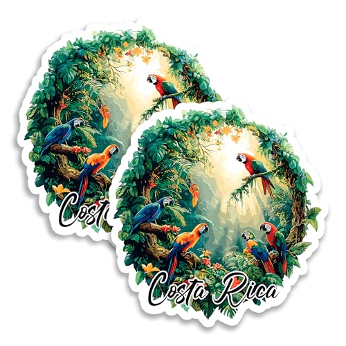 Imán Decorativo 4 Pulgadas Pack x2 Vinilo Multicolor