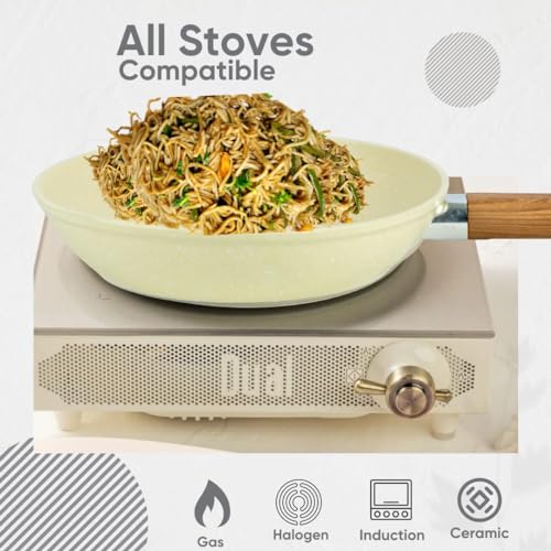 Image of Non Stick Egg Frying pan Multi-Purpose Frying pan for Omelet uttapam idli Burger Poached Egg Kitchen Breakfast(1pcs) (Light White)