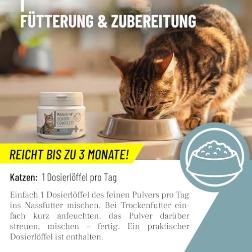 ReaVET Senior Complete Pulver für ältere Katzen – zur Unterstützung der Herzfunktion, Vitalität & Beweglichkeit I Ergänzungsfuttermittel für Seniorenkatzen – mit Taurin, Kollagen & Colostrum 50g