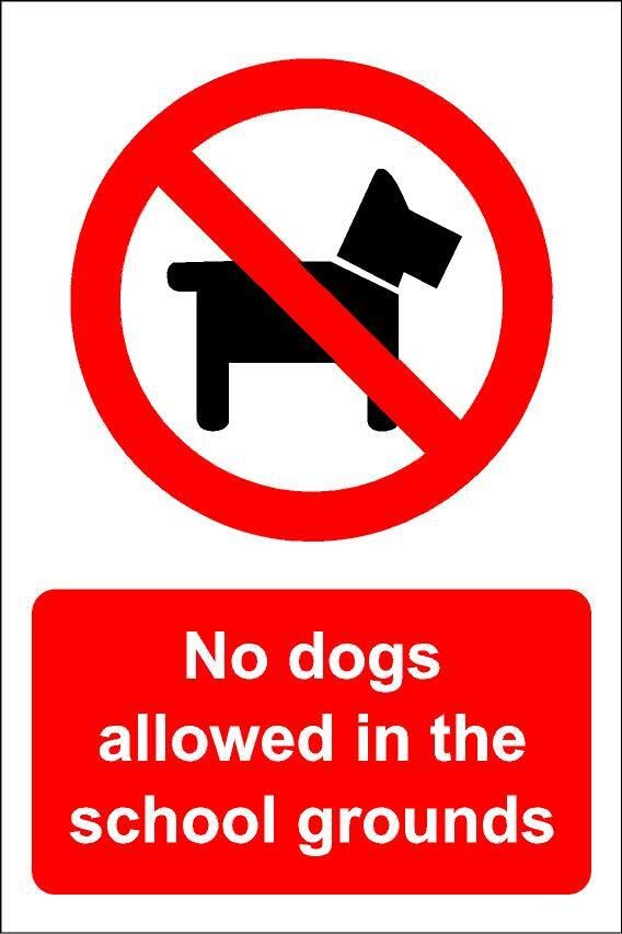 No dogs allowed in the school grounds - 1mm flexible Plastic sign (600mm x 400mm)