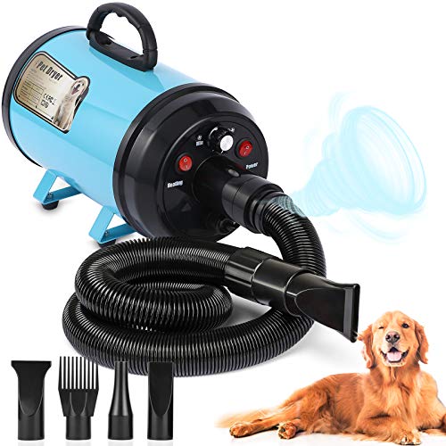 best pet dryer