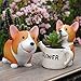 Anpatio Corgi Succulent Planter Mini Resin Animal Plant Pot Creative Pen Pencil Brush Holder Lovely Carton Desktop Flowerpot Fairy Christmas Garden Home Office School Gift Garden Decoration Set of 2