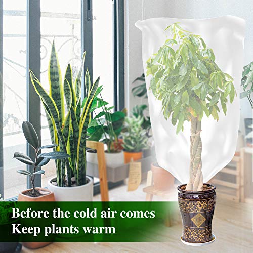 Sirozi 3 Pack Plant Protection Film Cover, 44" X 27.5" Winter Transparent Plant Freeze Protection Bags Outdoors Garden Greenhouse Plant Frost Cover Bags #TOP5