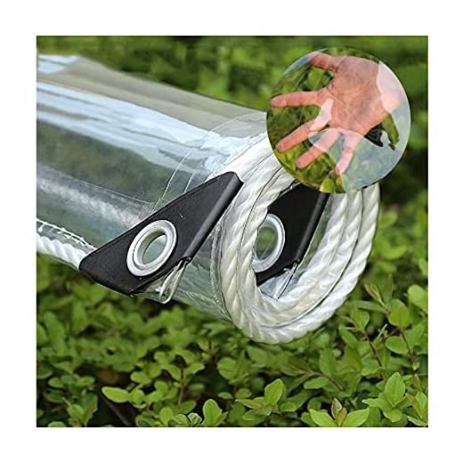 CHAOXIANG Transparent presenning med metallöljetter, vindtät dammsäker anti-åldrande regnsäker duk för trädgård växthus balkong 0,35 mm tjock, anpassad storlek (färg: Klar, storlek: 5 x 10 m)