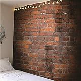 CEVAN B0CRSVYXTN lato 4