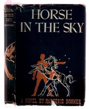 Hardcover Horse in the Sky Book