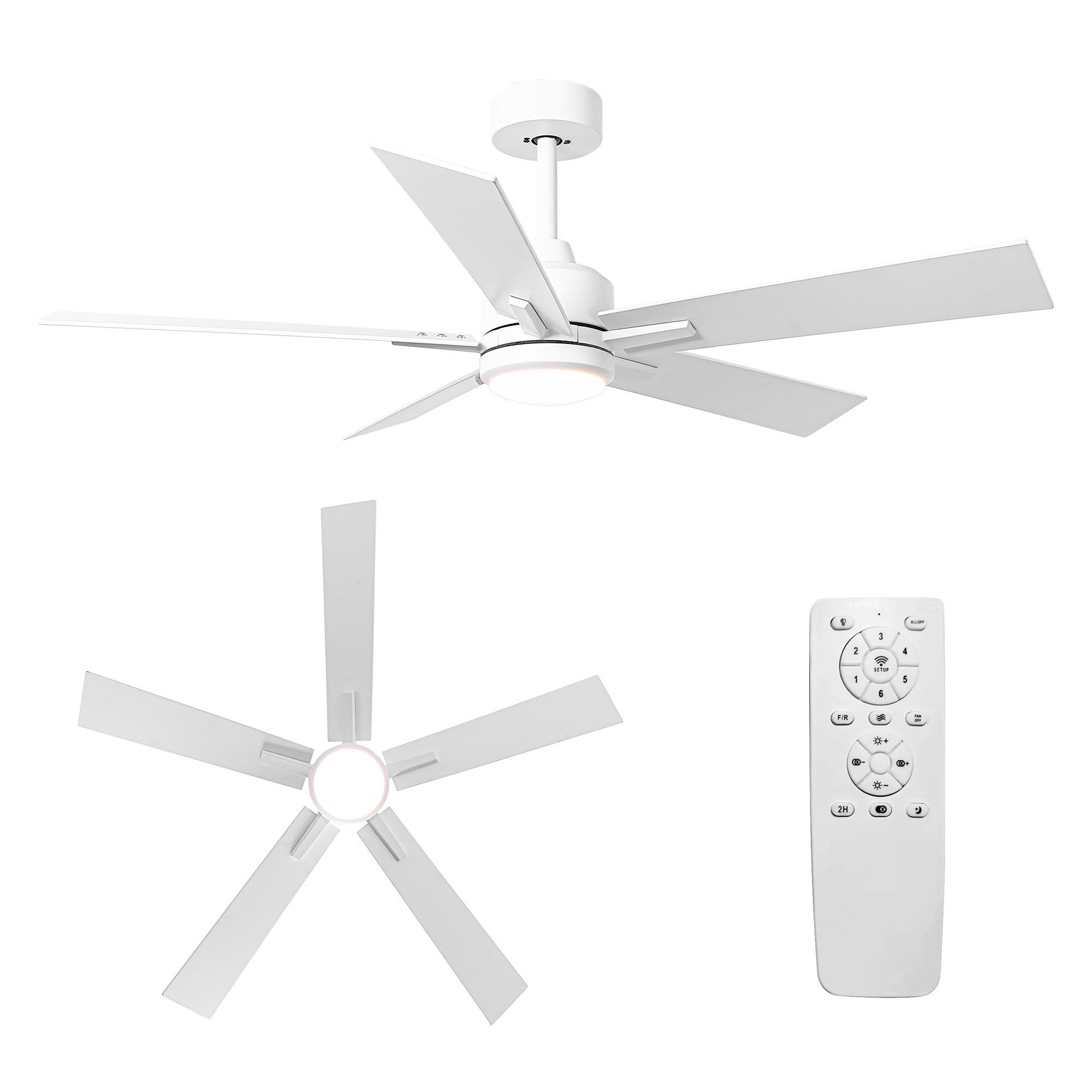 https://m.media-amazon.com/images/I/51guFDhpEbL.jpg