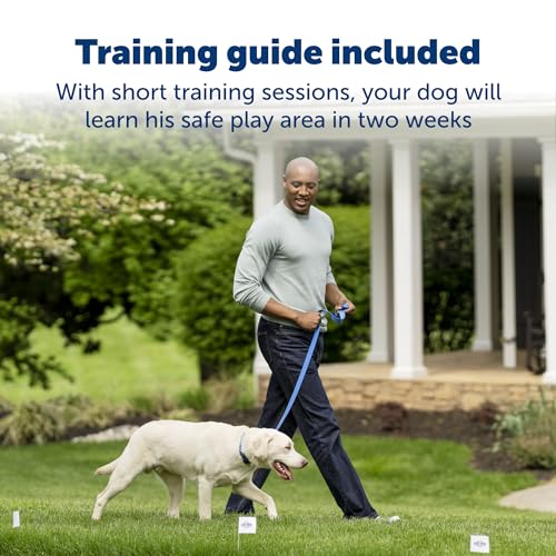 PetSafe-Stay-Play-Pet-Fence-Wireless-Dog-Fence-Collar-Rechargeable-Receiver-Collar-Waterproof-Design-Compatible-with-All-PetSafe-Wireless-Fences-Invisible-Wireless-System-Black PetSafe Stay Play Pet Fence Wireless Dog Fence Collar Rechargeable Receiver Collar Waterproof Design Compatible with All PetSafe Wireless Fences Invisible Wireless System Black