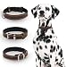 Michur Minimo Hundehalsband Leder, Lederhalsband Hund, Halsband, Braun, Leder, in verschiedenen Größen erhältlich