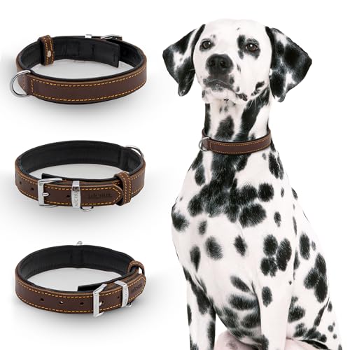 Michur Minimo Hundehalsband Leder, Lederhalsband Hund, Halsband, Braun, Leder, in verschiedenen Größen erhältlich