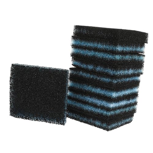 Kisangel 10 @pybgю{[ ϋvyʑf ߗ т̓я ʓIȐ @Ήh[wALb`[