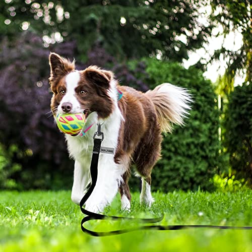 Wolfone Black 3m Long Line Lead Waterproof Recall Training Dog Lead, 3m*19mm*2mm - Image 3