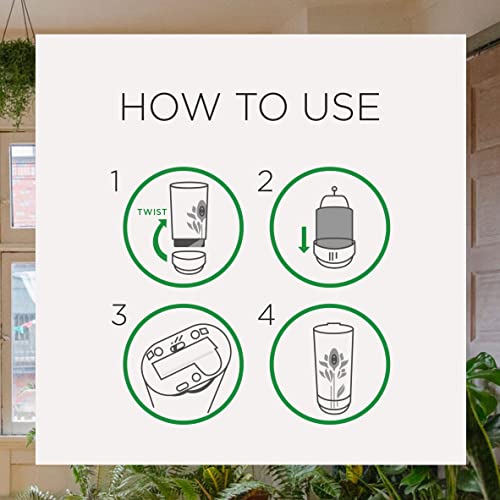 Air Wick RAC82680PK Automatic Air Freshener Spray Refill, 2Ct, Apple Cinnamon thumb #6
