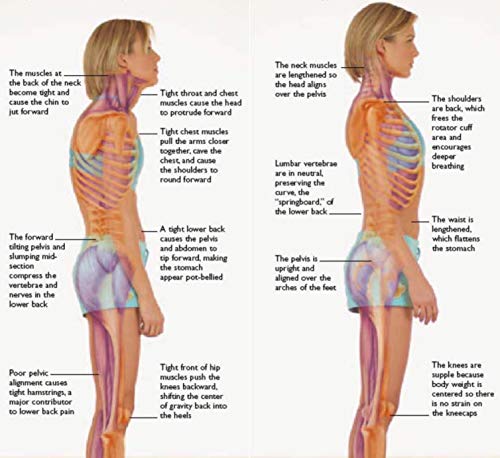 Posture Corrector for Children and Teenagers